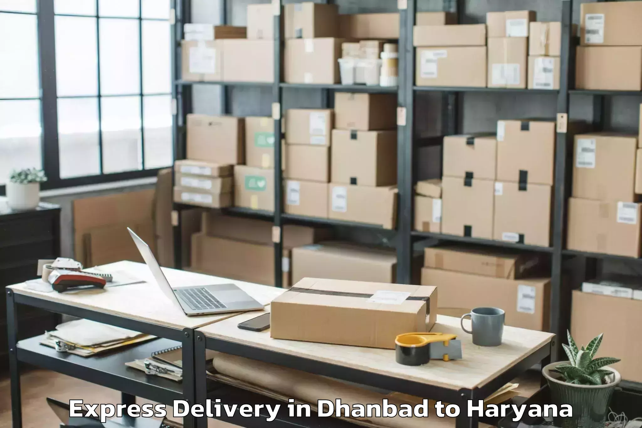 Hassle-Free Dhanbad to Lingayas University Faridabad Express Delivery